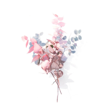 demo attachment 1106 evie s vz3iqy0loaa unsplash 1024x1024 1