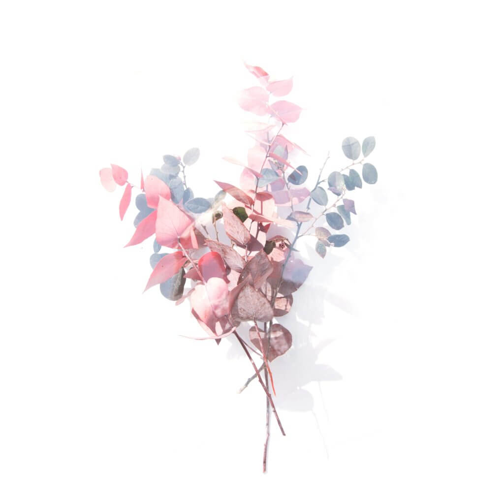 demo attachment 1106 evie s vz3iqy0loaa unsplash 1024x1024 1